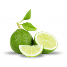 klone palestinian sweet lime seeds