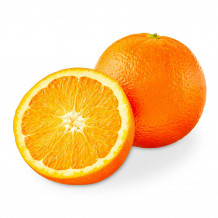 valencia seedless hybrid orange plant